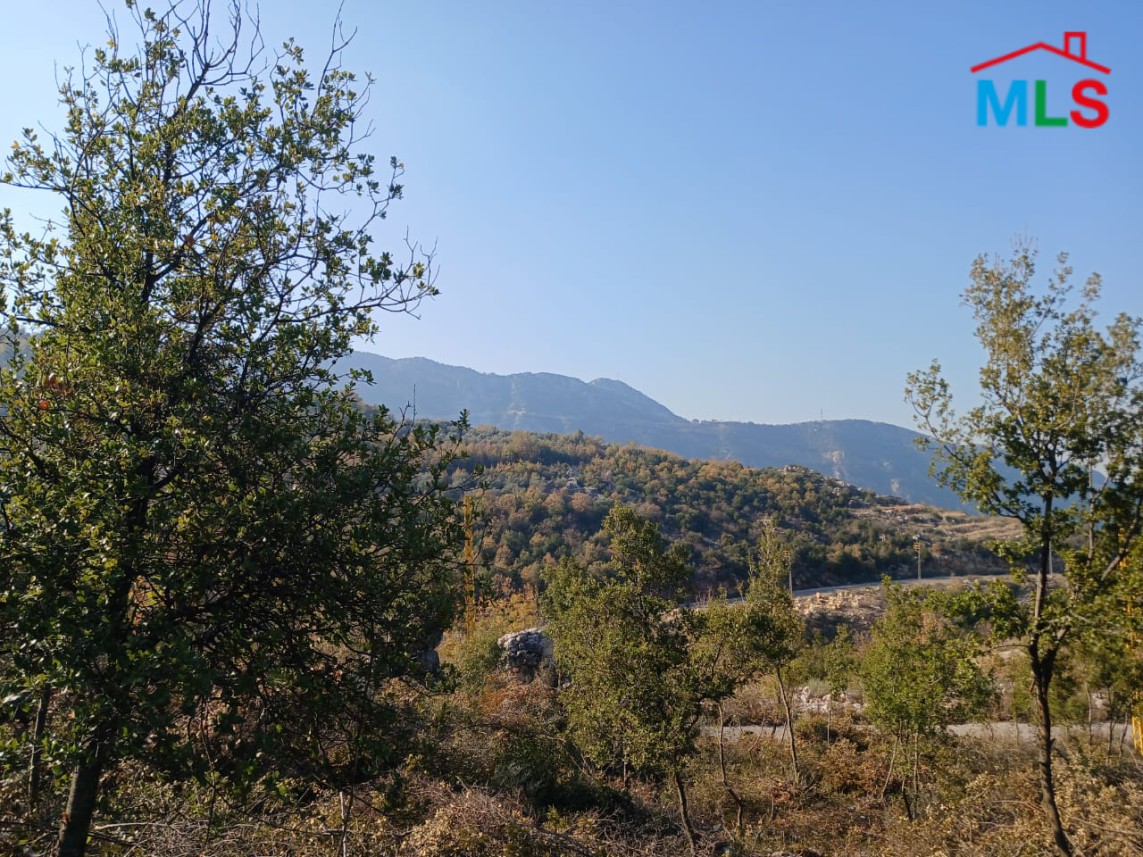 Prime Location! 1,290 SQM Land For Sale in Douma