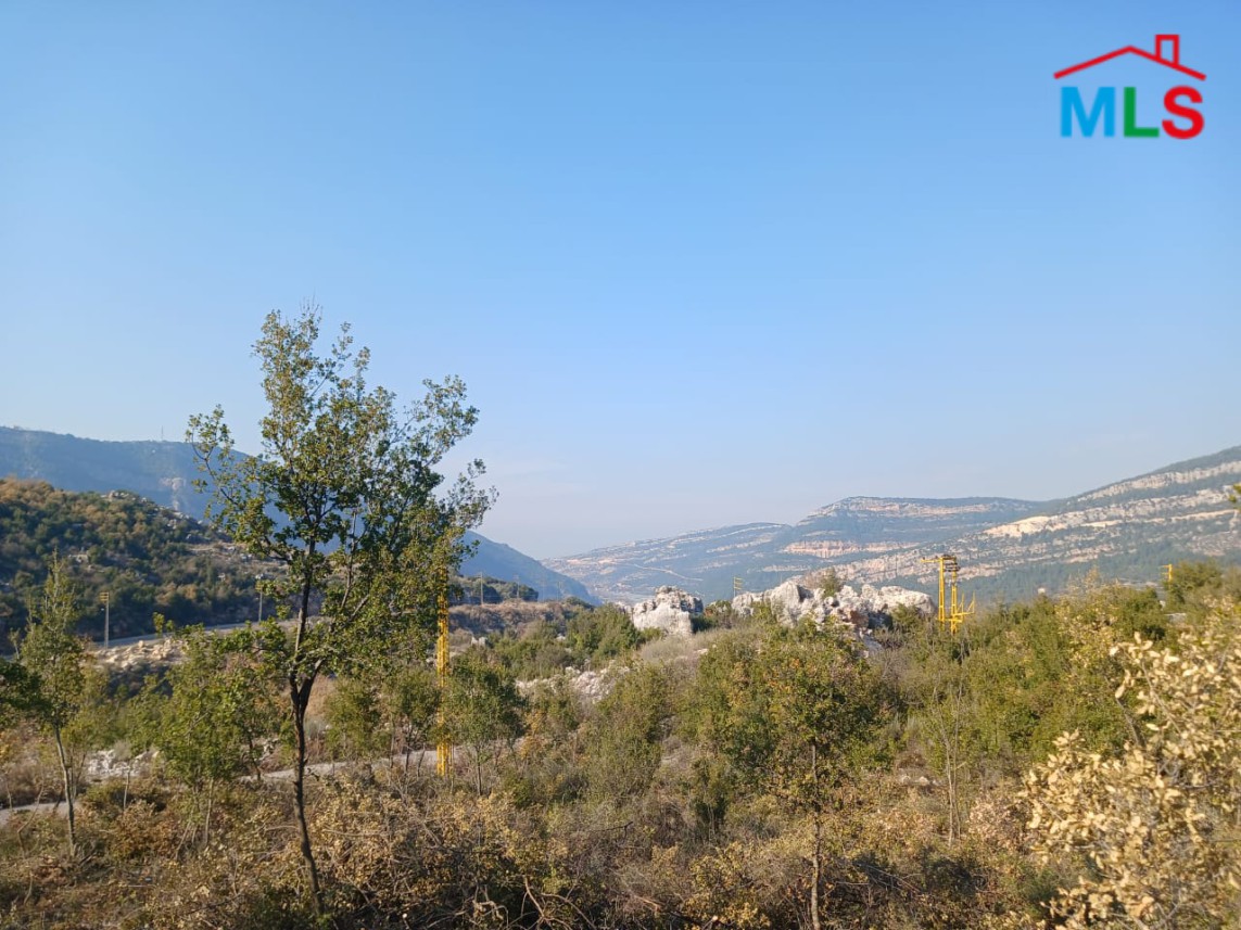 Prime Location! 1,290 SQM Land For Sale in Douma