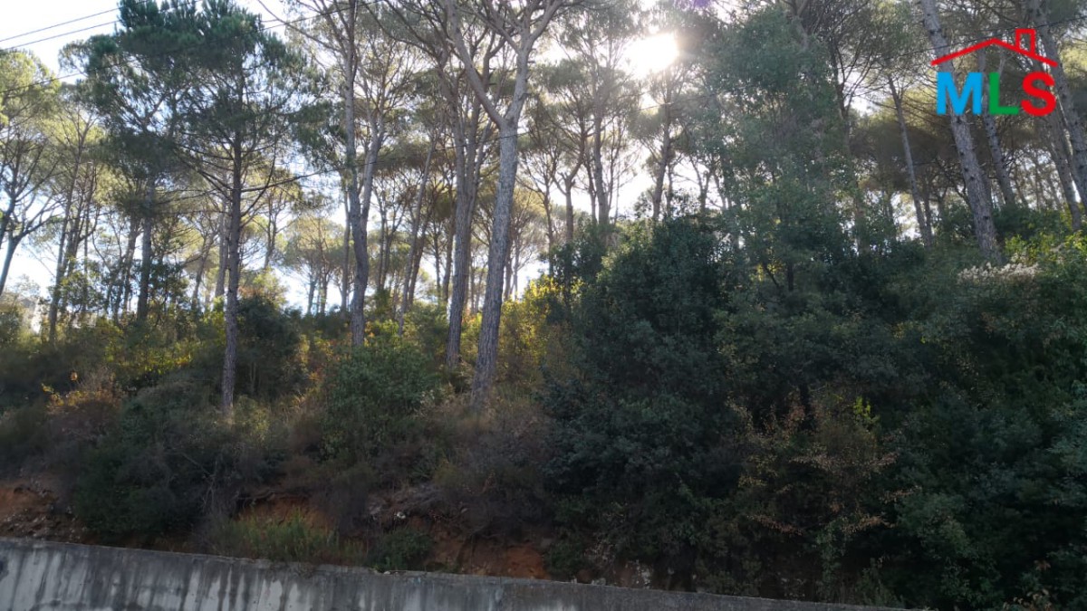 6,213 SQM Land For Sale in Zandouqa Prime Location