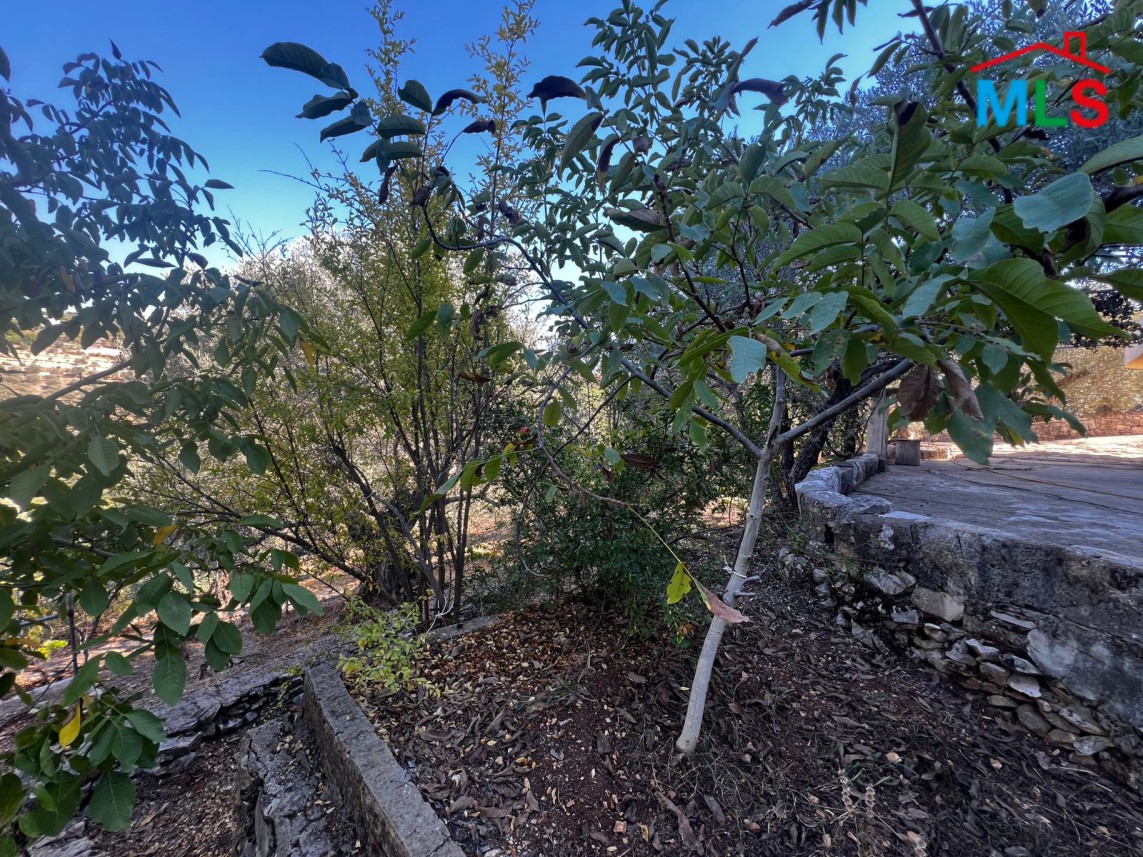 Land with Individual House & Mountain View For Sale in Bkifa