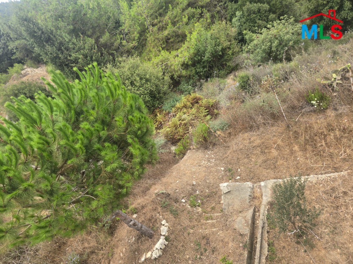 7,050 SQM Land For Sale in Fatqa