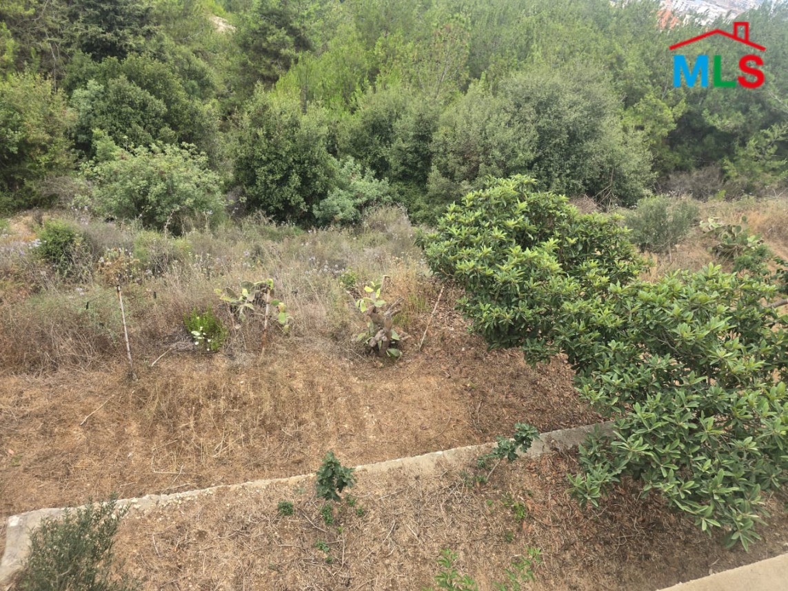 7,050 SQM Land For Sale in Fatqa