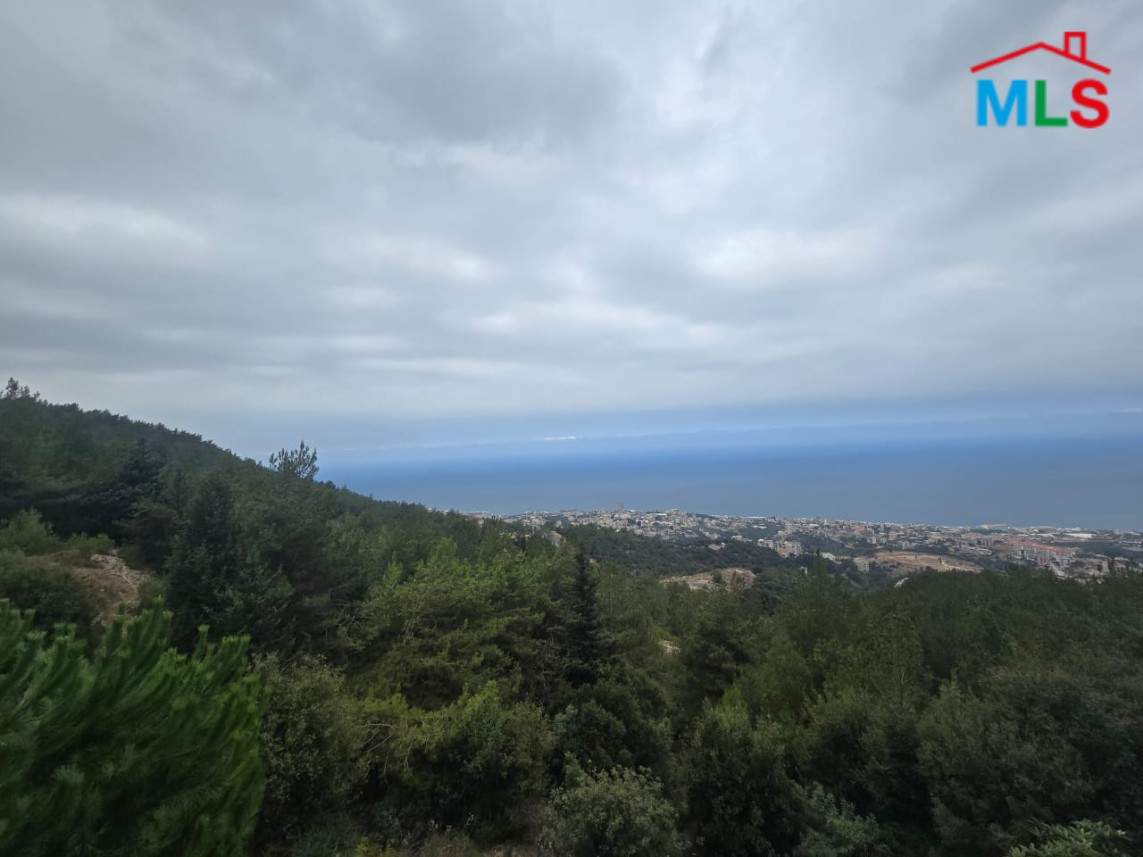 7,050 SQM Land For Sale in Fatqa