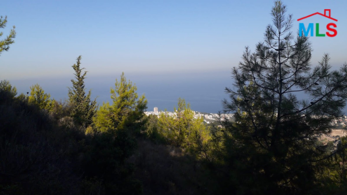 7,050 SQM Land For Sale in Fatqa