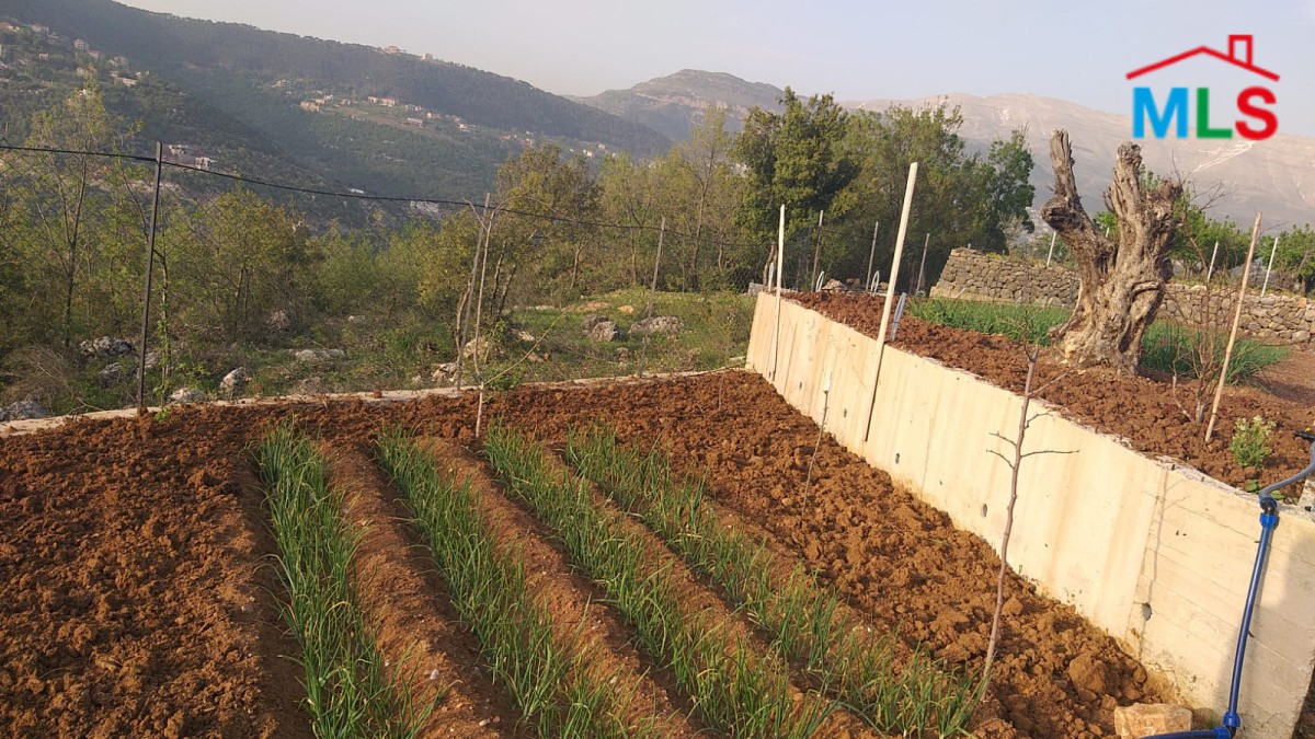 1,300 SQM Land with Amazing Mountain View For Sale in Bteghrine