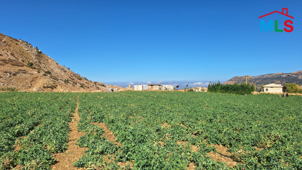 18,900 SQM Land For Sale in Zaarour