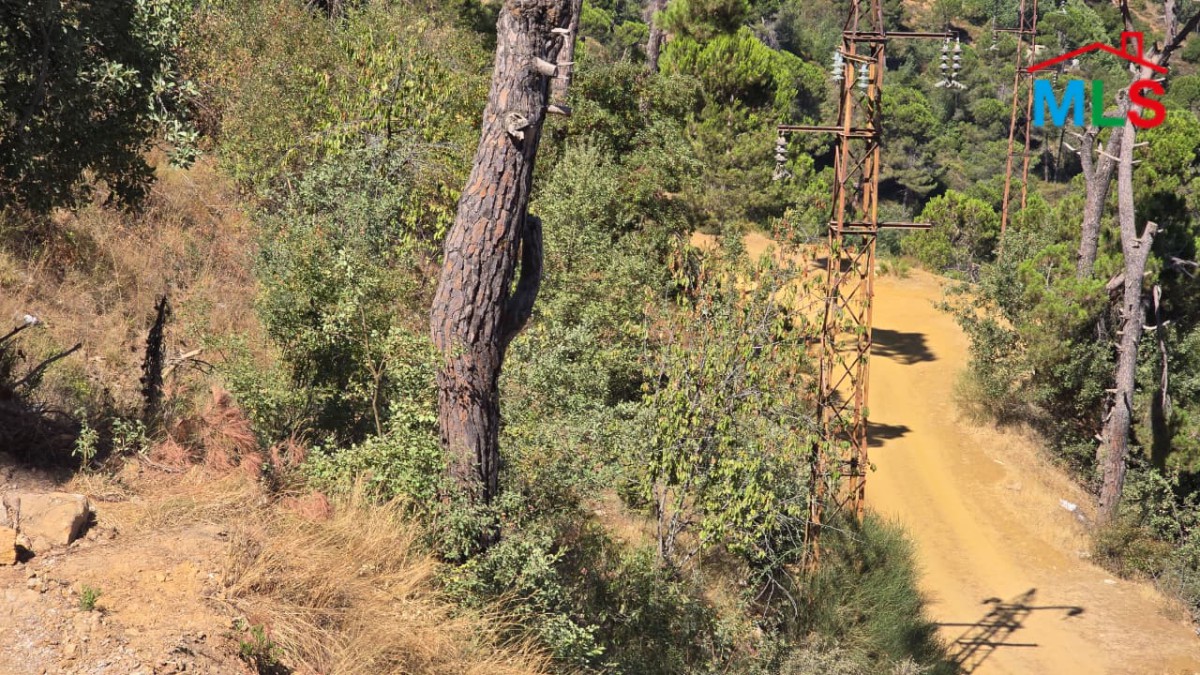 3,577 SQM Land For Sale in Dhour Choueir
