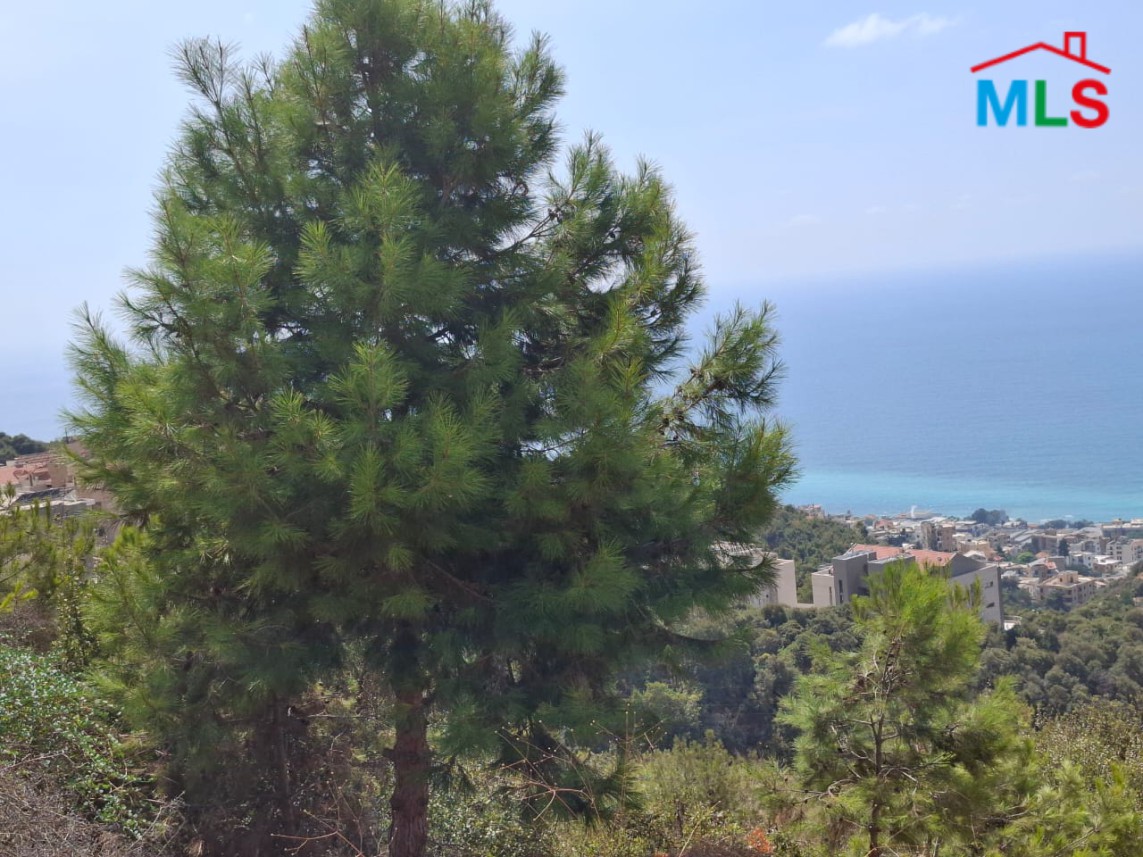 865 SQM Land with Sea View For Sale in Halat
