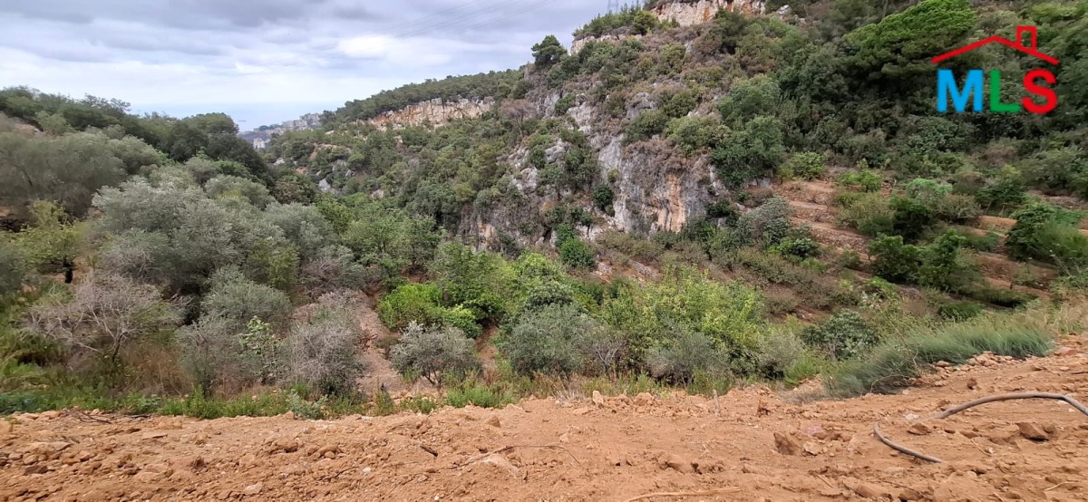1,300 SQM Land With Great View For Sale in Nabey