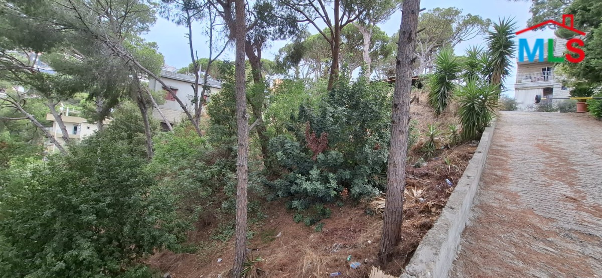 Land With Great View For Sale in A Prime Location On The Main Road in Nabey