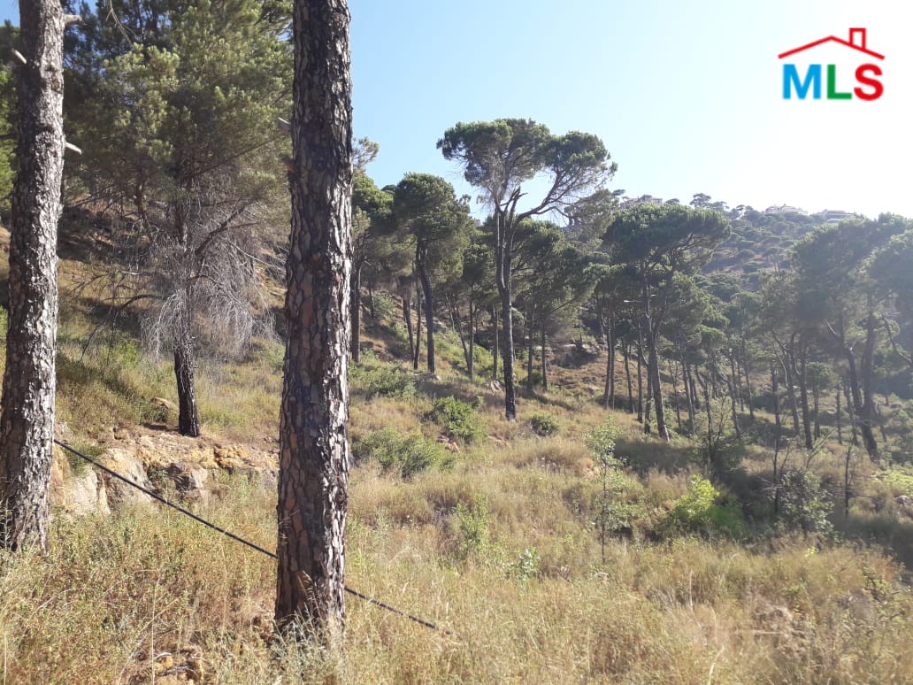 1,500 SQM Land For Sale in Choueir