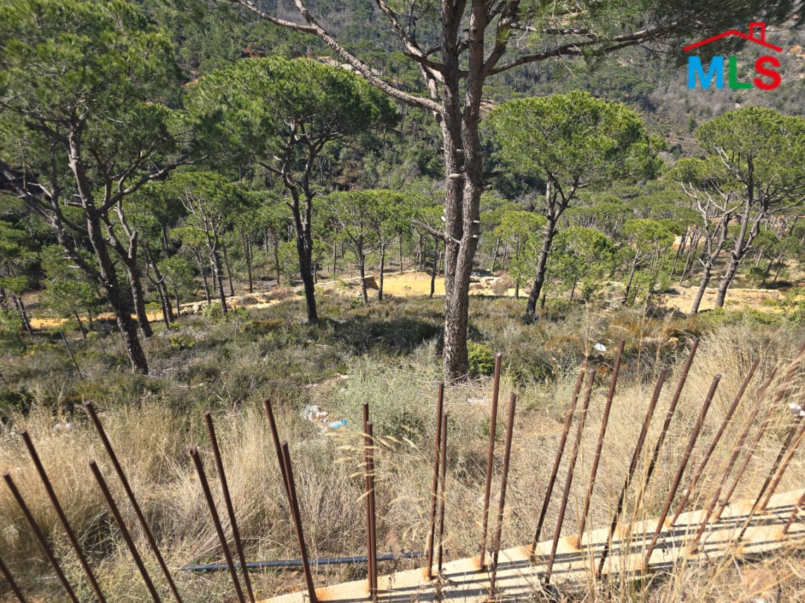 850 SQM Land For Sale in Choueir