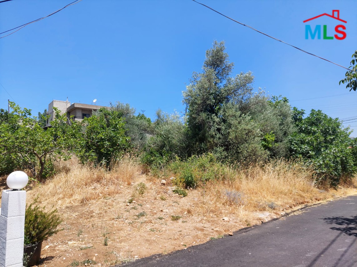 Land For Sale In The Heart Of Klayaat