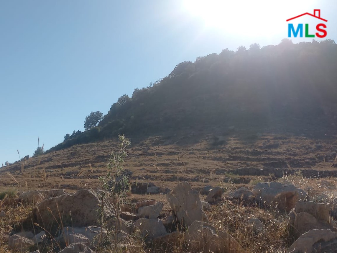4,623 SQM Land For Sale in Ehmej, Jbeil