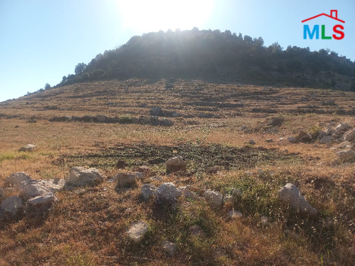 4,623 SQM Land For Sale in Ehmej, Jbeil