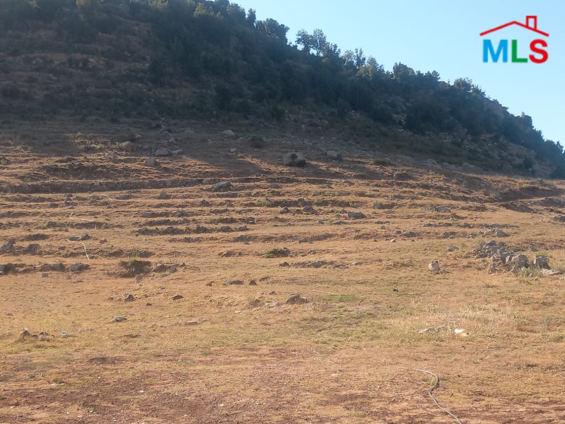 4,623 SQM Land For Sale in Ehmej, Jbeil