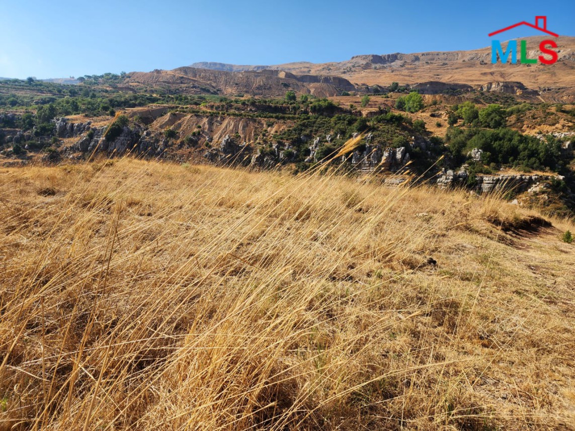 3,203 SQM Land For Sale in Majdel Tarchich