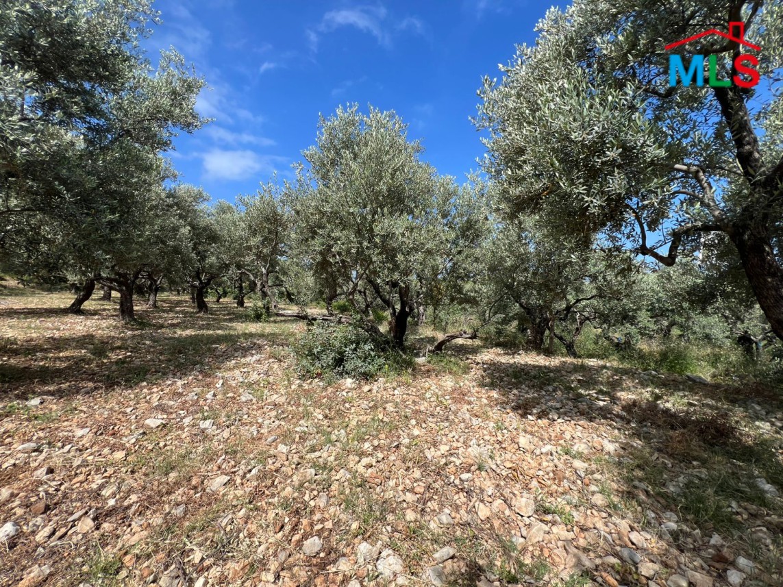 Land With A Nice View For Sale in Madfoun, Batroun