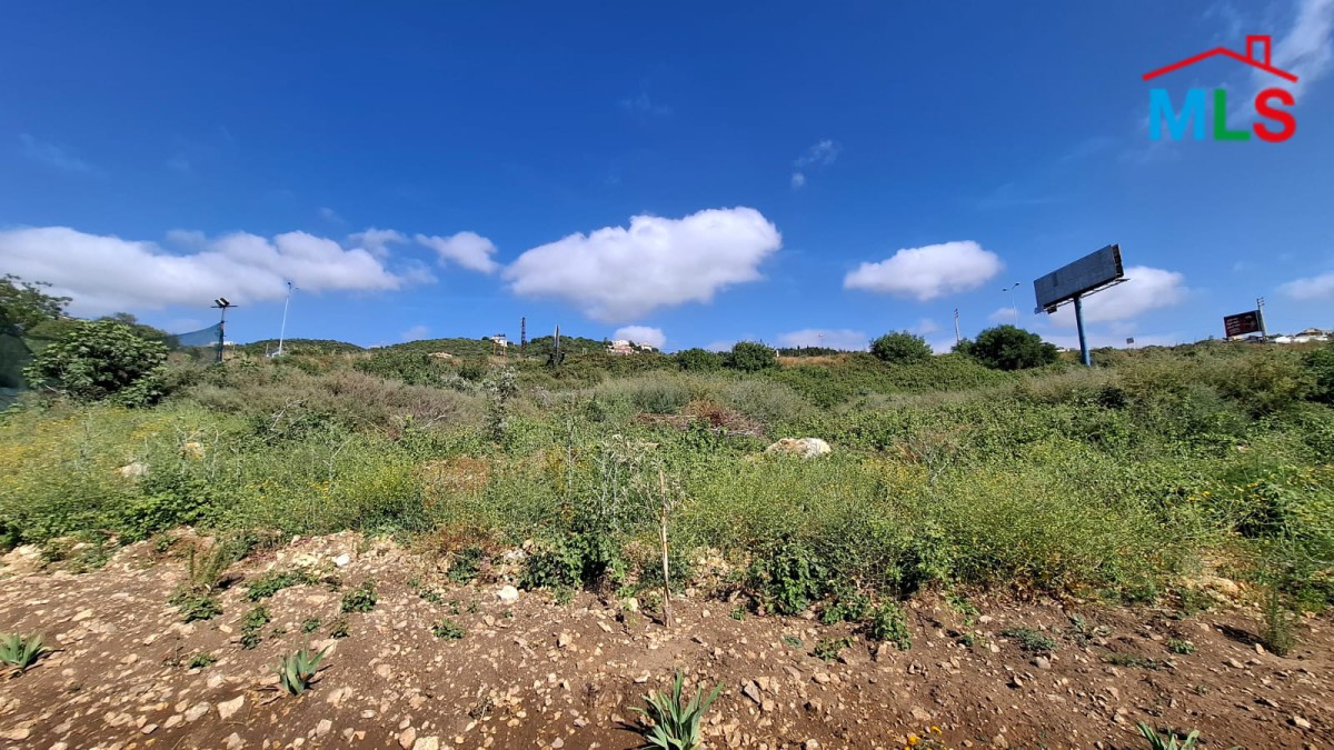 Strategic Land For Sale in Berbara On The Seaside Road