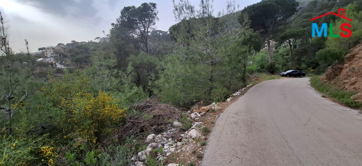 3,000 SQM Land For Sale in Baabdat