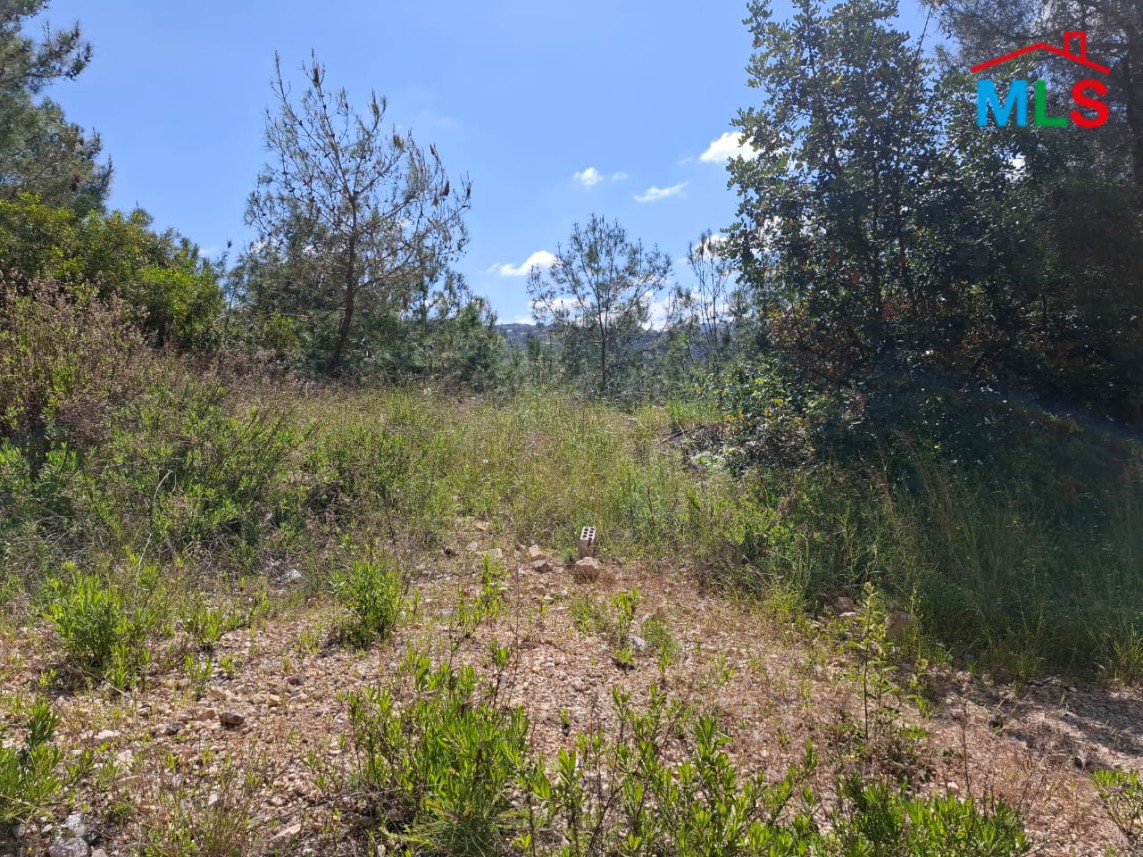 4,200 SQM Land For Sale in Daroun