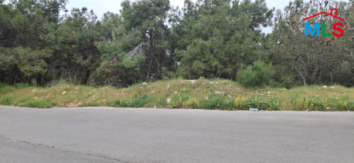 Spacious Land With Seaview For Sale in Bsalim