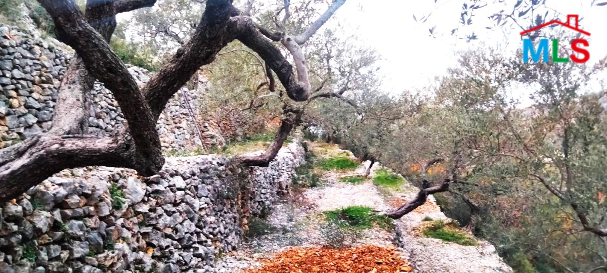 696 SQM Land For Sale in Chabtine, Batroun With Road Access