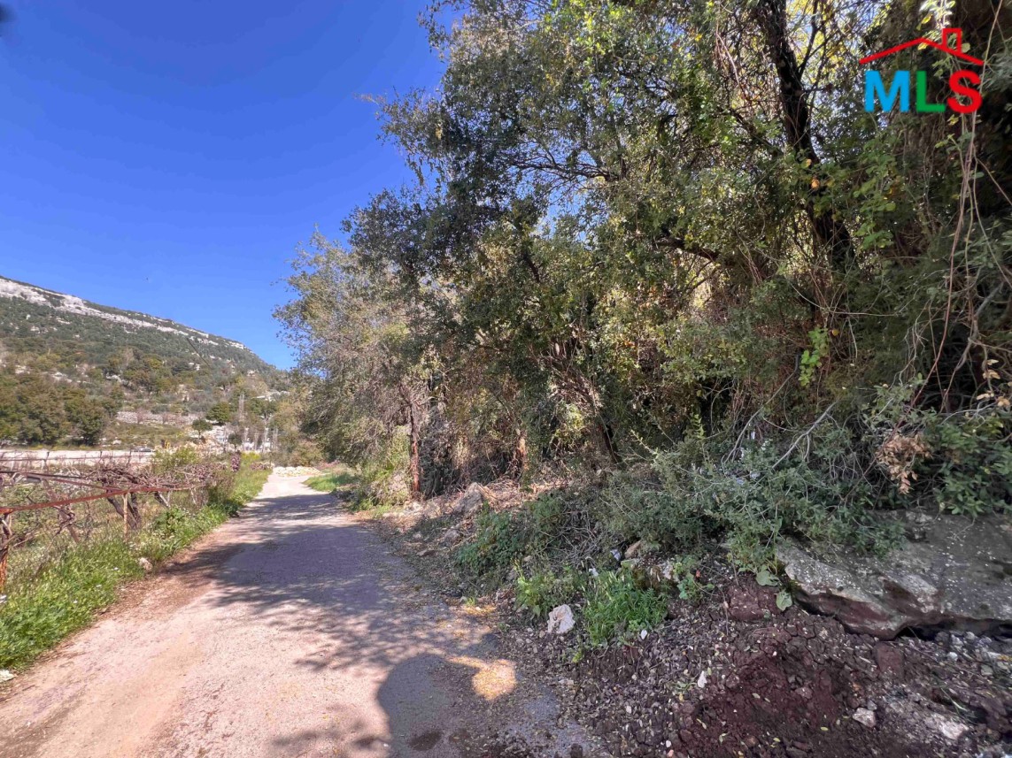Spacious 3,650 SQM Land For Sale in Lehfed