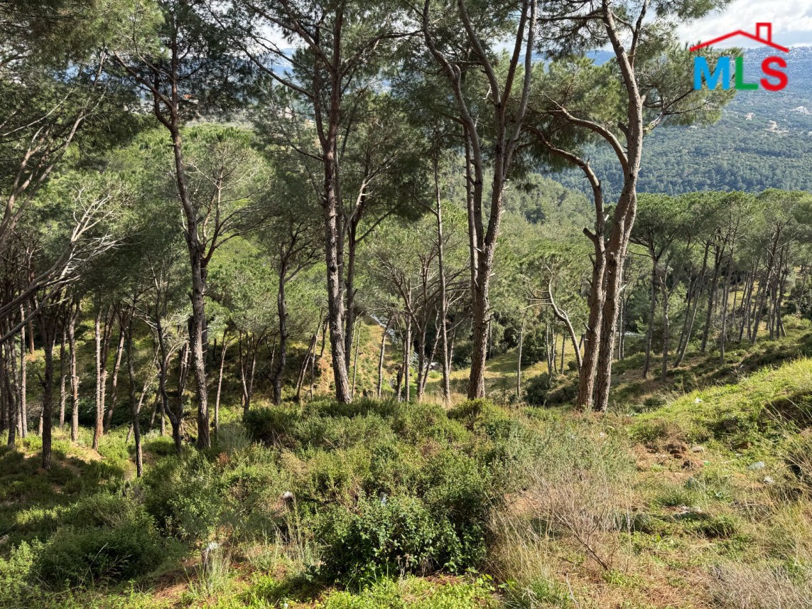 9,030 SQM Land For Sale In Broumana