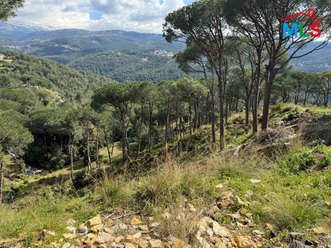 9,030 SQM Land For Sale In Broumana