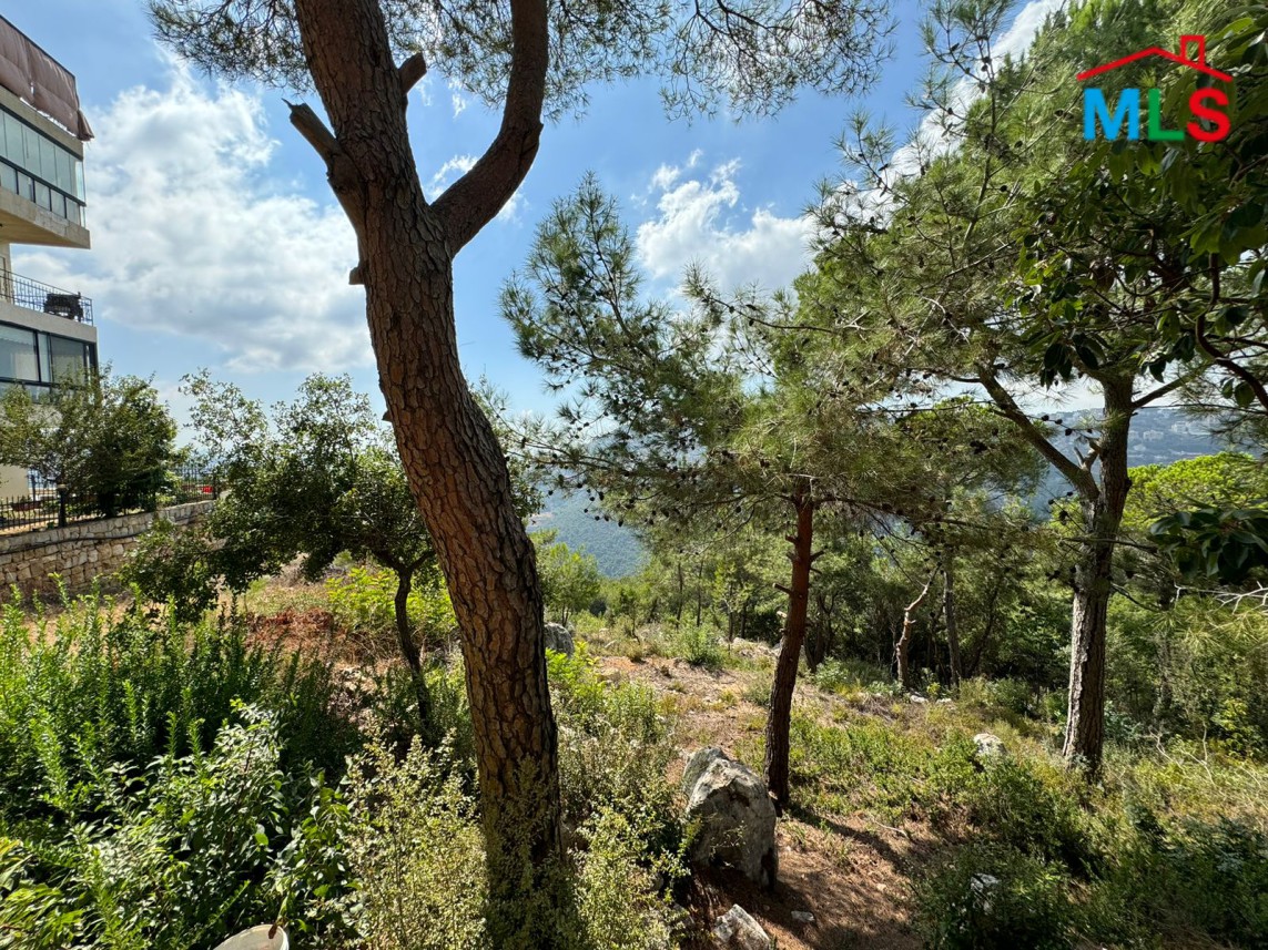 980 SQM Land For Sale in Qortada With A Nice View