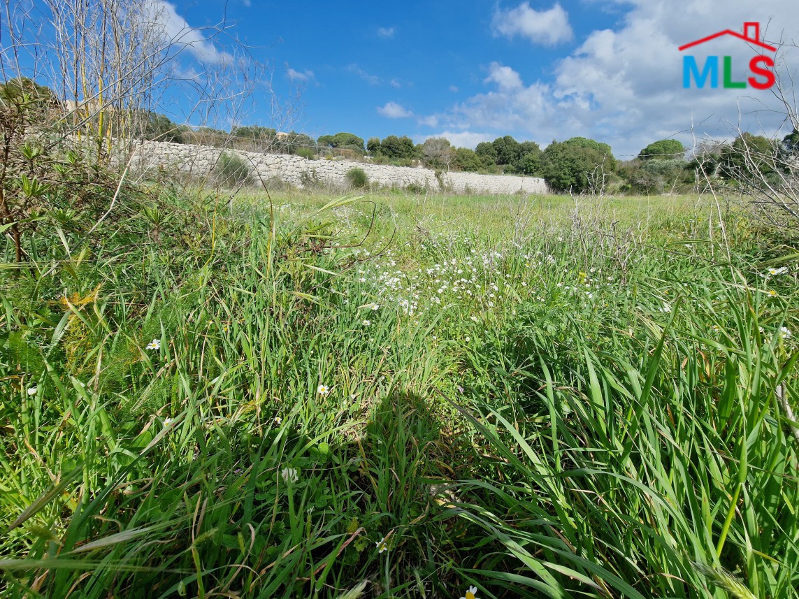 8,000 SQM Land For Sale in Smar-Jbeil Batroun