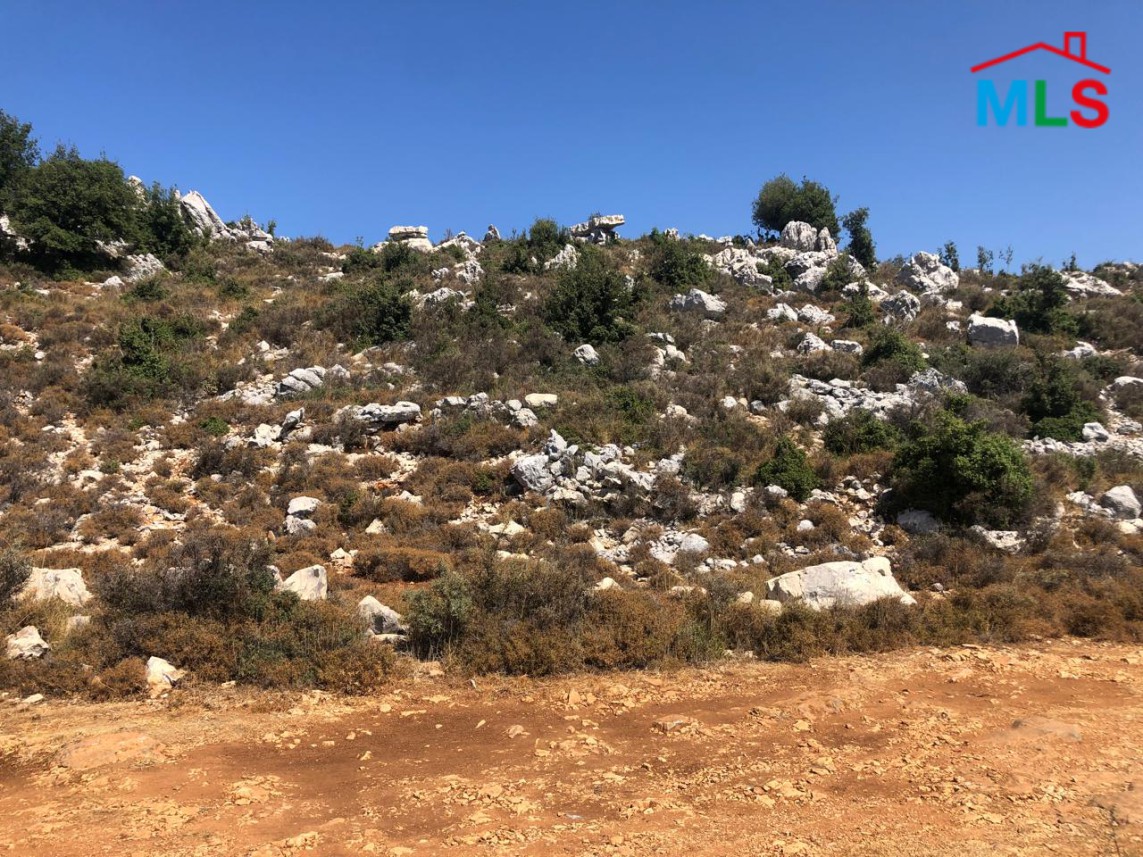 1,200 SQM Land For Sale In Lehfed Prime location