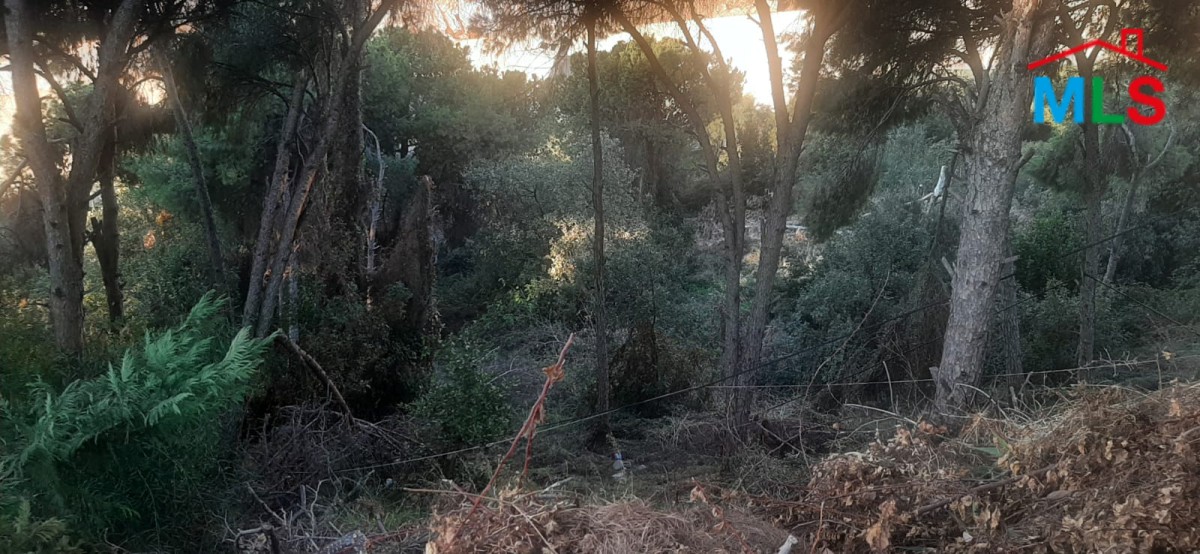 774 SQM Land For Sale in Aoukar