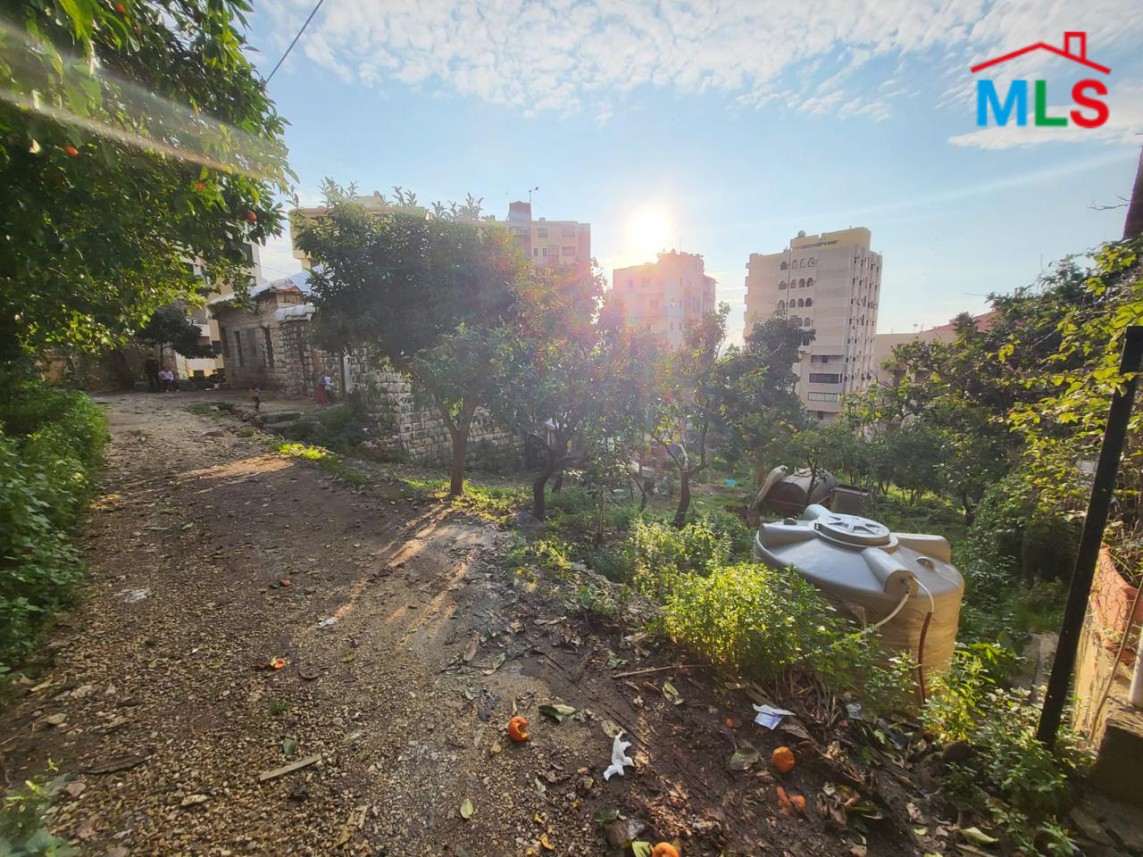 Land with Old House For Sale in Sahel Alma