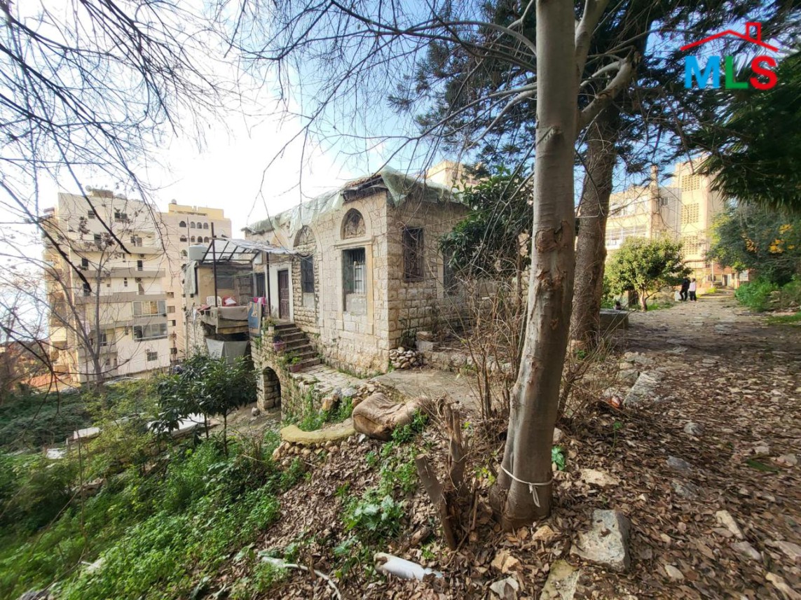Land with Old House For Sale in Sahel Alma