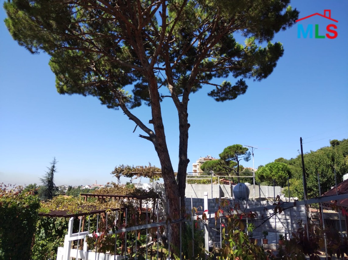 Huge Land With A Stand Alone House For Sale in Ajaltoun