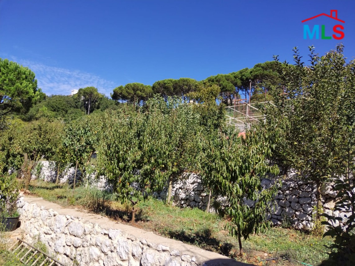 Huge Land With A Stand Alone House For Sale in Ajaltoun