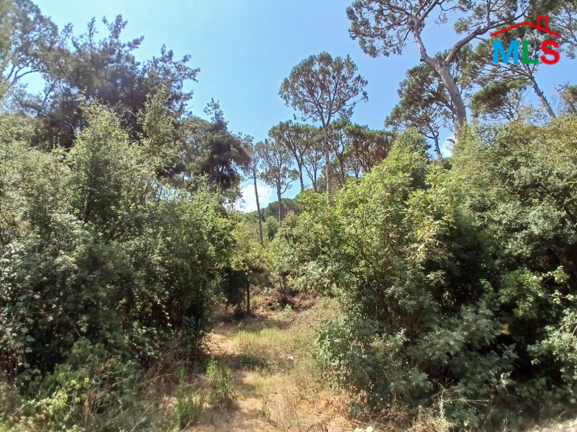 2,650 SQM Land For Sale In Baabdat Mar Chaaya