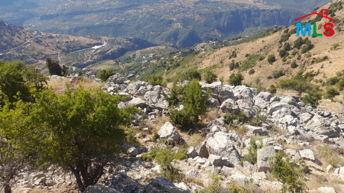 55,550 SQM Land With A Nice View For Sale In Qartaba, Jbeil