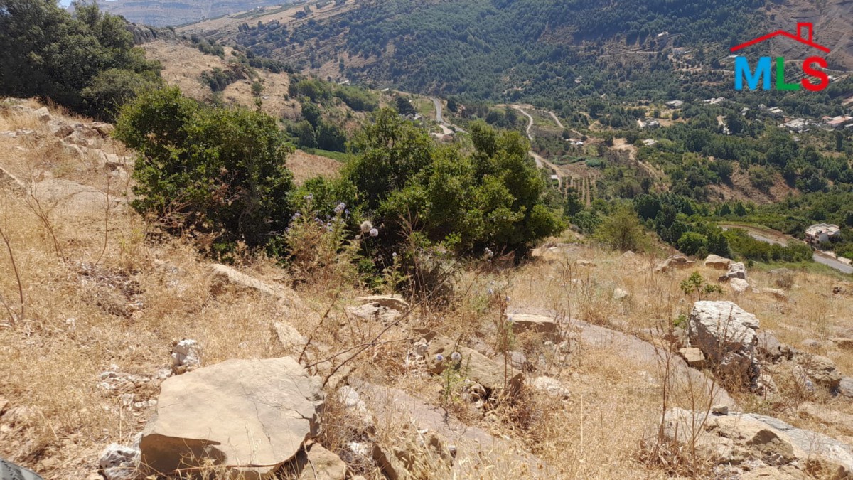 55,550 SQM Land With A Nice View For Sale In Qartaba, Jbeil