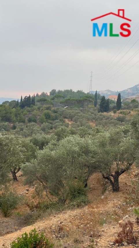 7,500 SQM Land With View For Sale in Deir Al Qamar