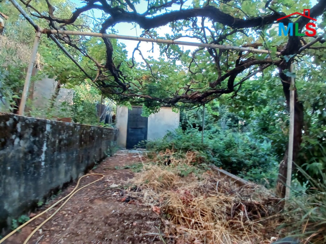 1,802 SQM Land With Old Building For Sale In Nabey