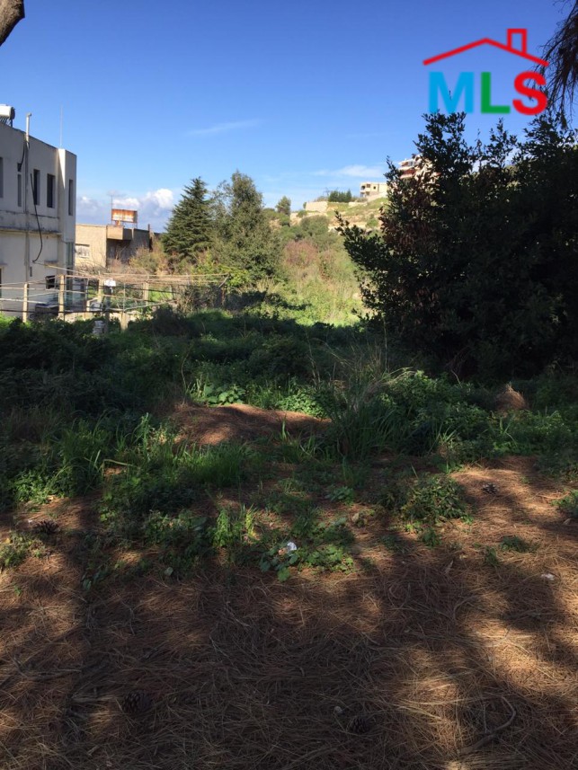 Big Land for Sale In Kfarmashoun, Jbeil