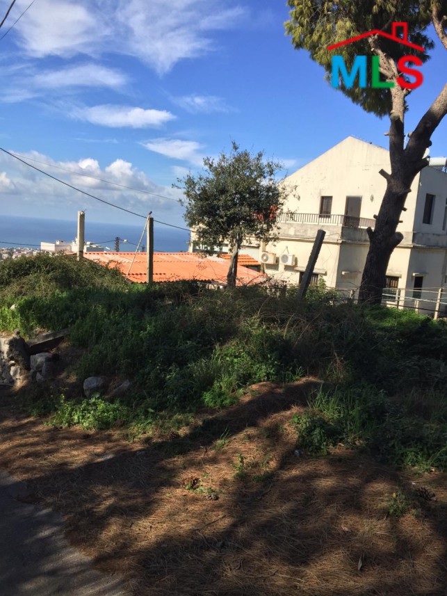 Big Land for Sale In Kfarmashoun, Jbeil