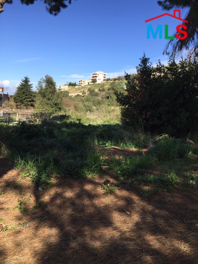 Big Land for Sale In Kfarmashoun, Jbeil