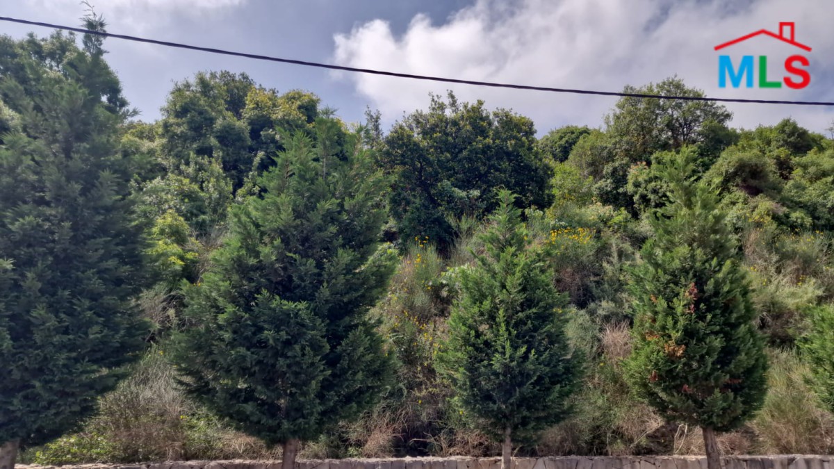 Land for Sale In Ijdabra Batroun