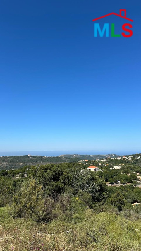 11,200 SQM Land For Sale In Batroun Rich in Greenery