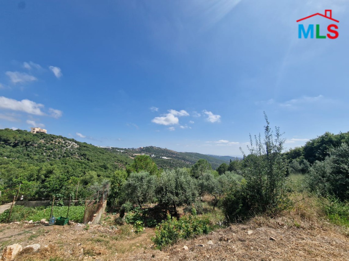 Land for Sale In Bejdarfel, Batroun
