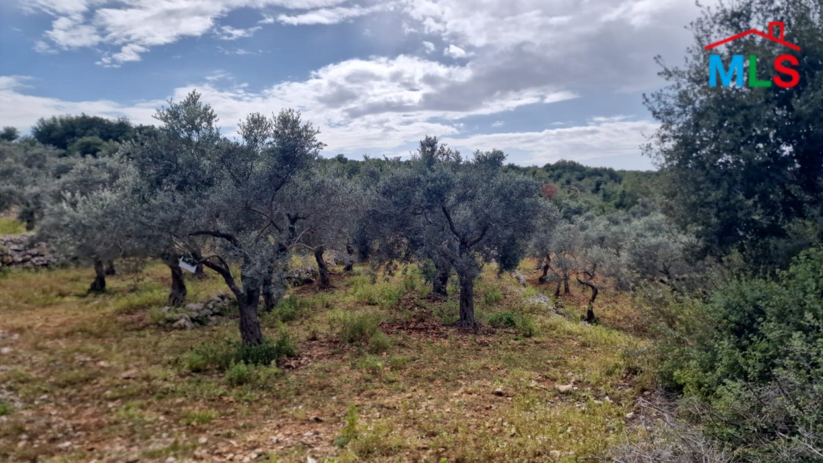 9,000 SQM Land for Sale In Hamat Batroun